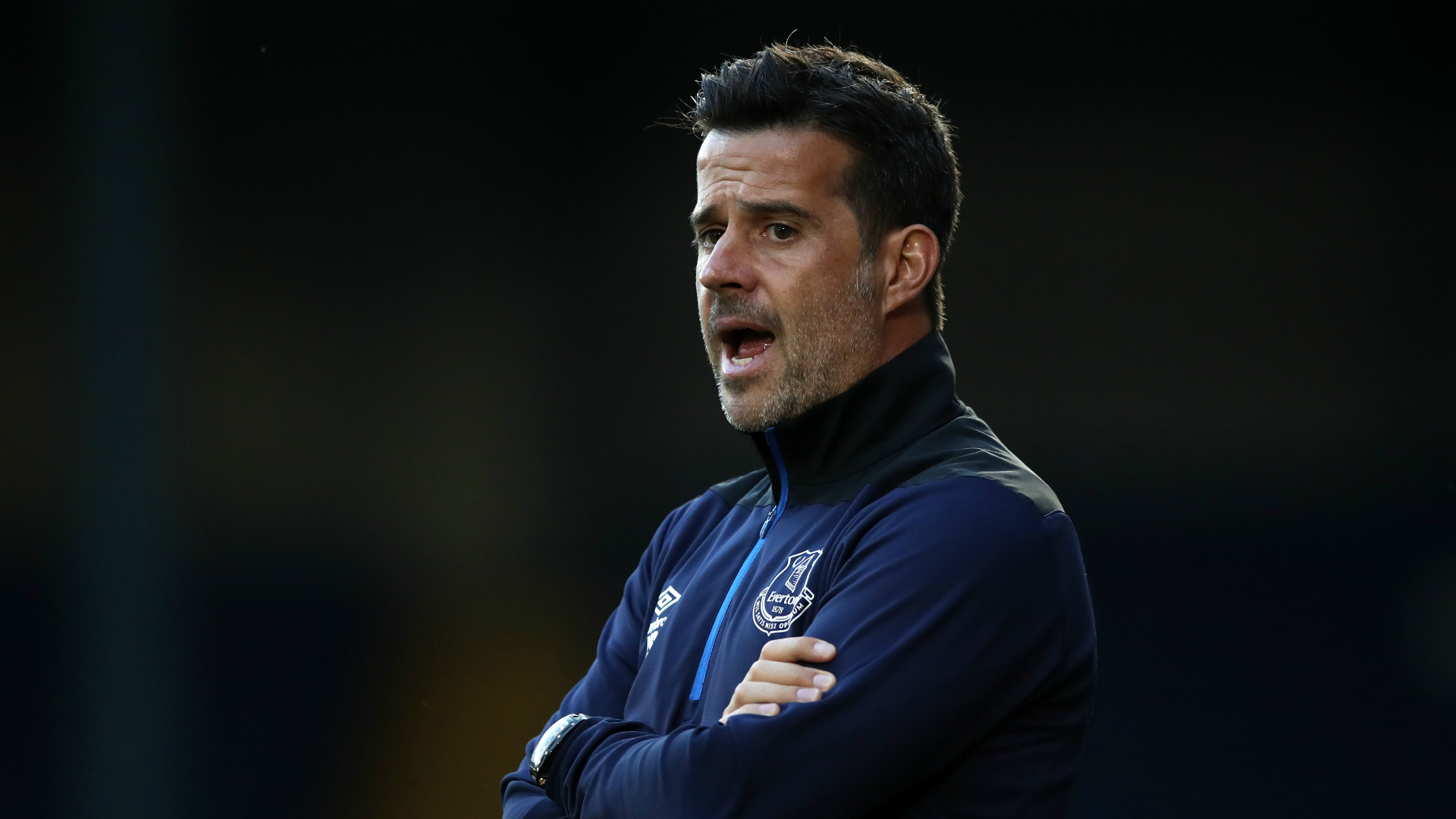 速度和多样 速度和多样